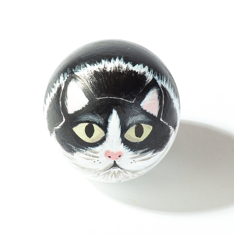 Cat Portrait