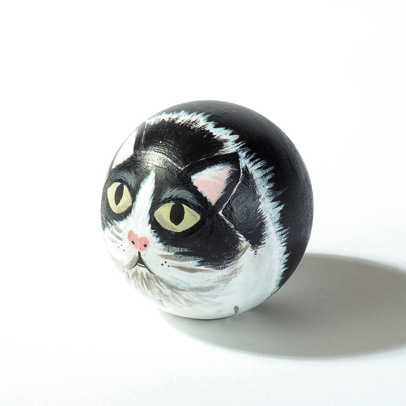Cat Portrait