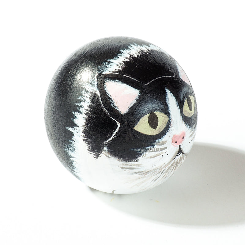 Cat Portrait